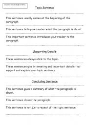 English Worksheet: The Paragraph Burger