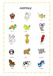 English worksheet: animals