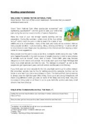 English Worksheet: reading comprehension