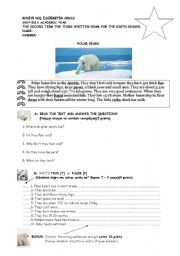 English Worksheet: POLAR BEARS-easy reading and exercises