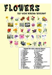 English Worksheet: Flowers