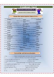 English Worksheet: If conditional (Type II). part2