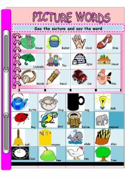 English Worksheet: PICTURE WORDS-Vocabulary 