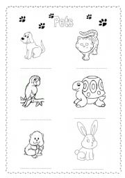 English worksheet: Pets