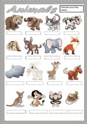 English Worksheet: ANIMALS