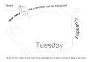 English Worksheet: The very hungry caterpillar worksheet 2