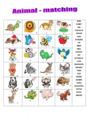 English Worksheet: Animal matching exercise