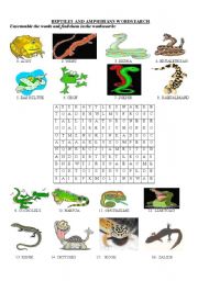 English Worksheet: Reptiles and amphibians wordsearch