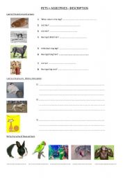 English worksheet: PETS