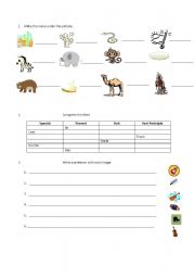 English Worksheet: Test about: animals, obigatory and optional, music, Weather , etc.