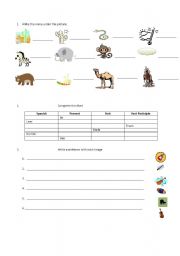 English worksheet: Test about: animals, obigatory and optional, music, Weather , etc.