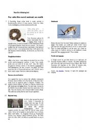 English Worksheet: Endangered species: For sale: the rarest animals on earth