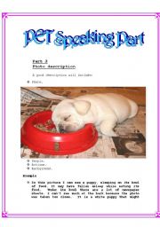 English Worksheet: Pet photo description