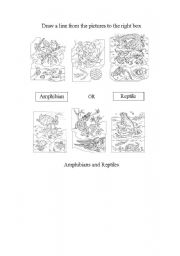 English worksheet: Amphibians & Reptiles