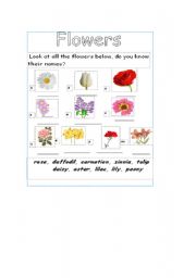English Worksheet: flowers