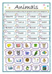 English Worksheet: ANIMALS, match up