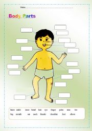 English Worksheet: Body Parts