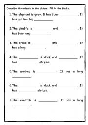 English Worksheet: Describing animals worksheet