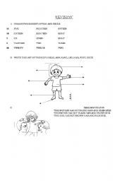 REVISION, NUMBERS, PART OF THE BODY, COLOURS