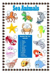 Sea animals