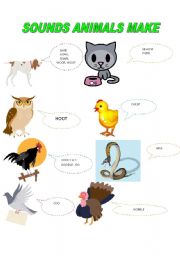 English Worksheet: SOUNDS ANIMALS MAKE