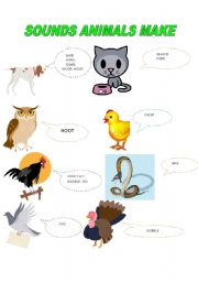 English worksheet: SOUNDS ANIMALS MAKE