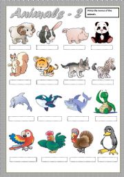 English Worksheet: ANIMALS -2