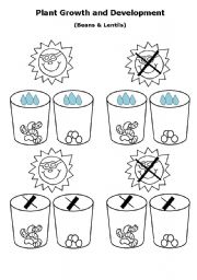 English Worksheet: Plant Growth and Development