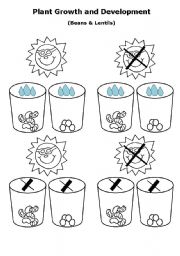 Plant Growth and Development