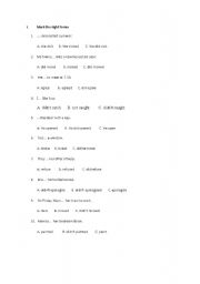 English Worksheet: past simple test 