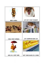 English Worksheet: ANIMAL IDIOMS