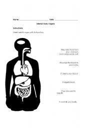 English Worksheet: Internal Body Organs and their functions