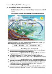 English Worksheet: Water Cycle