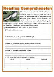 English Worksheet: Reading Comprehension Plus Grammer Assessment