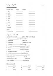 English worksheet: Test you English