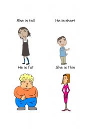Tall, short, fat, thin