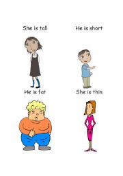 Tall, short, fat, thin - ESL worksheet by gi23