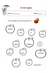 English Worksheet: a -an