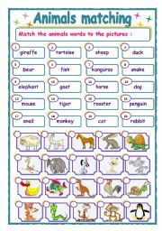 English Worksheet: Animals matching