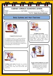 English Worksheet: Body Systems