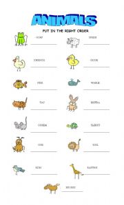 English Worksheet: ANIMALS 
