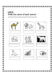 English worksheet: At the Zoo