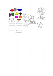 English Worksheet: colors