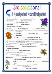 English Worksheet: third conditional + key (09.05.10)