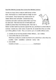 English worksheet: reading comprehension