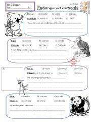 English Worksheet: endangered animals