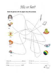 English Worksheet: His or her?
