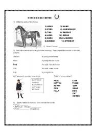 horse riding worksheets