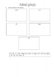 English worksheet: Animal groups