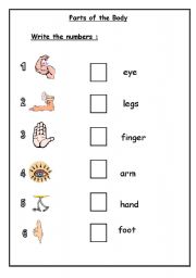 English Worksheet:  Parts of the Body